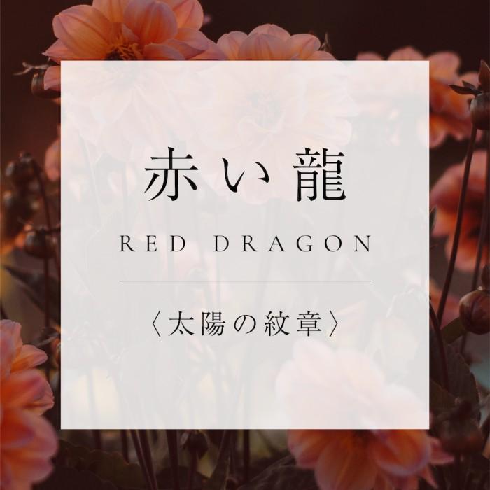 <太陽の紋章>1.赤い龍の商品画像