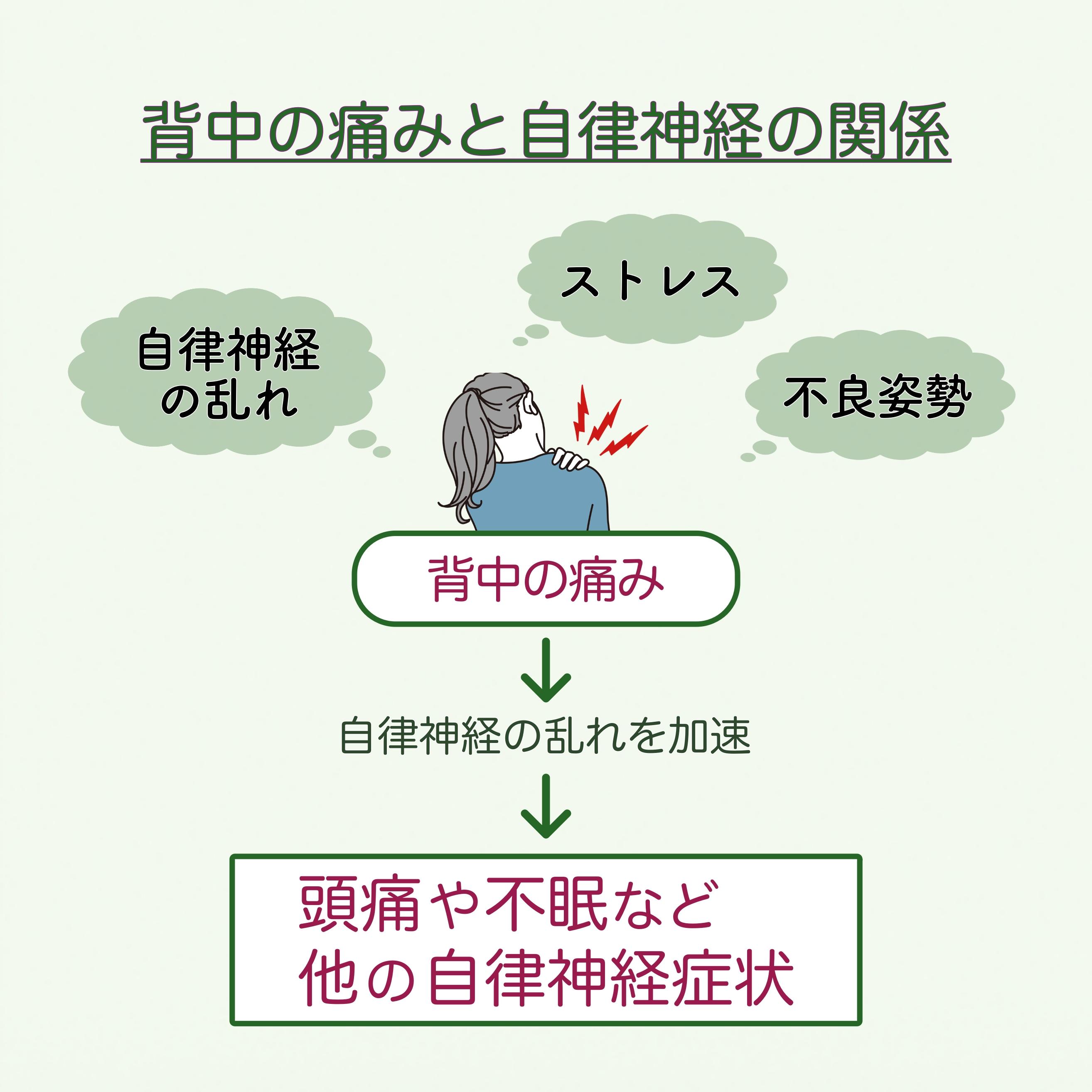 背中の痛みと自律神経の関係を示す図。中央に背中を押さえる人物イラストがあり、『背中の痛み』と記載。周囲に『自律神経の乱れ』『ストレス』『不良姿勢』と吹き出しが配置されている。下方向には矢印が伸び、『自律神経の乱れを加速』と記載。そのさらに下に『頭痛や不眠など他の自律神経症状』と強調表示され、背中の痛みが自律神経の乱れや全身の不調につながる流れを表している。