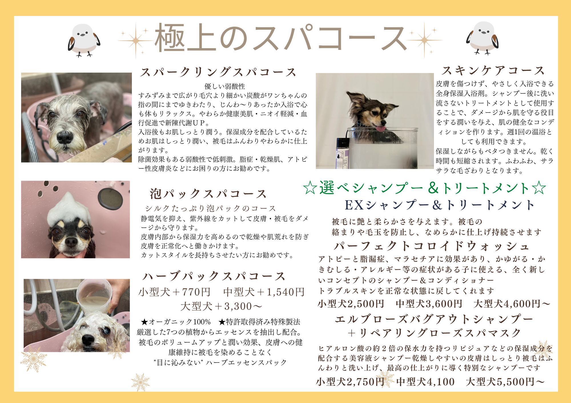 DogSalon PONチセ【ドッグサロン ポンチセ】極上のスパコース 人気 コース│札幌 宮の沢 トリミング│2024年8月10日OPEN！│札幌 トリミングサロン │犬 カット グルーミングサロン