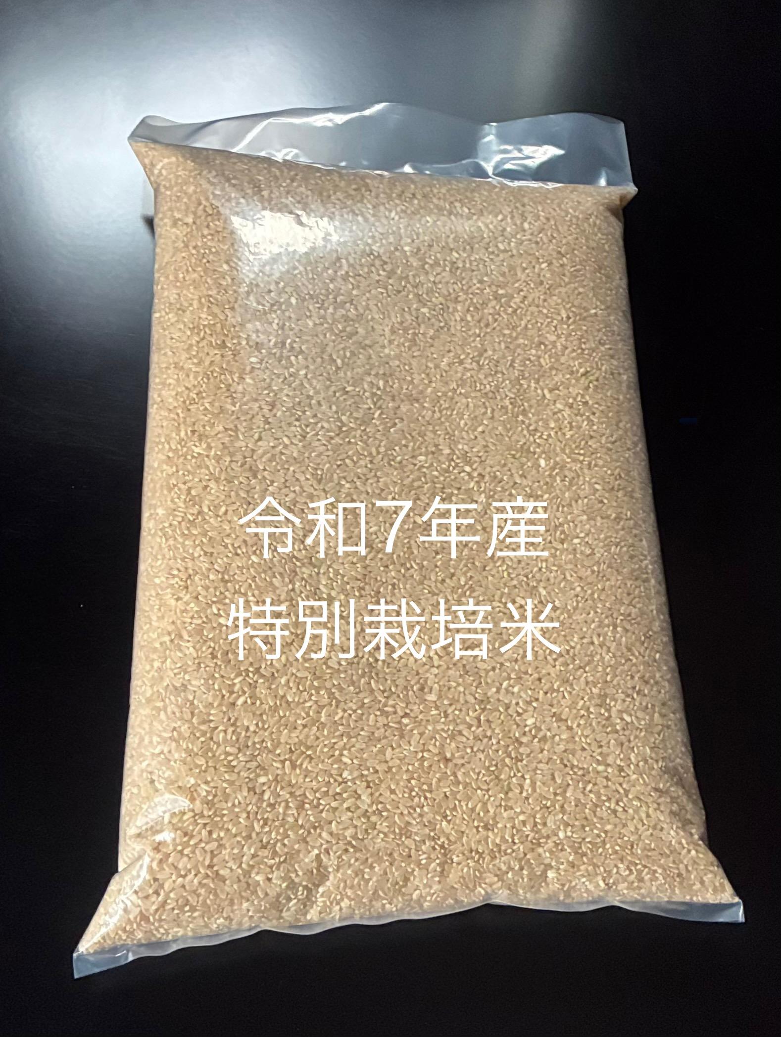 特別栽培米ひとめぼれ玄米２０ｋｇの商品画像