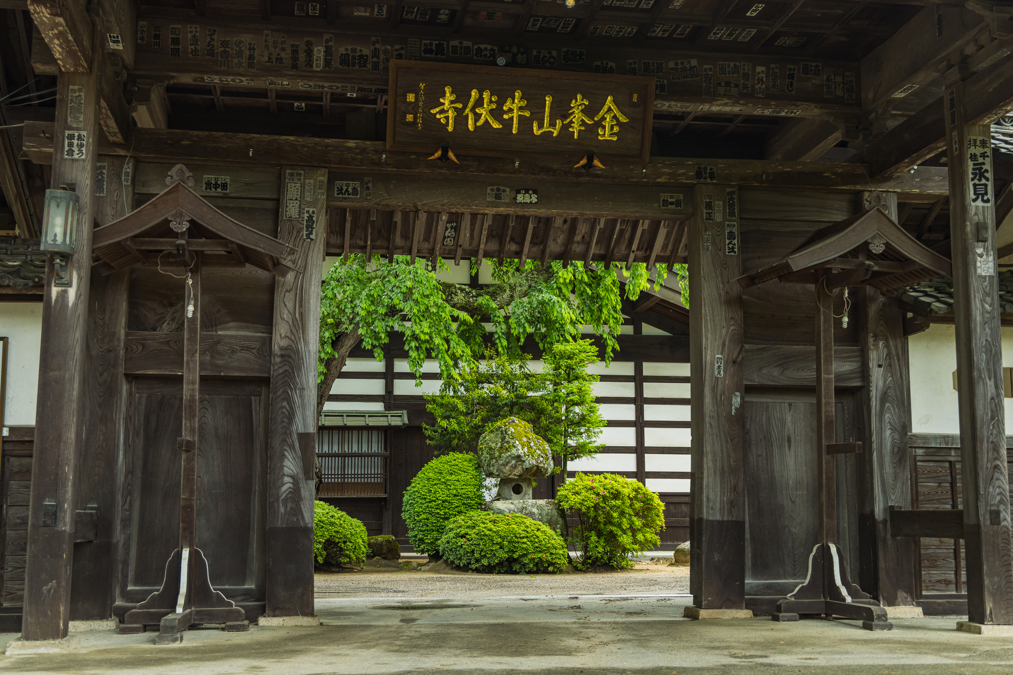 宗教法人サポート