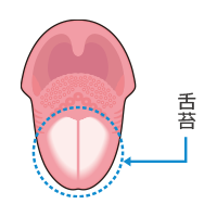 舌苔