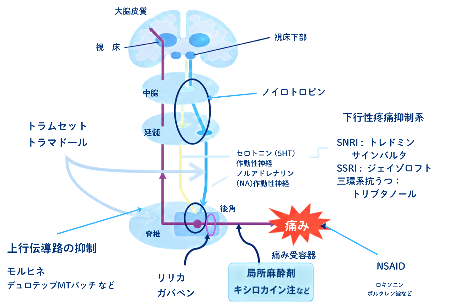 藤沢ソーマクリニックのペインクリニック