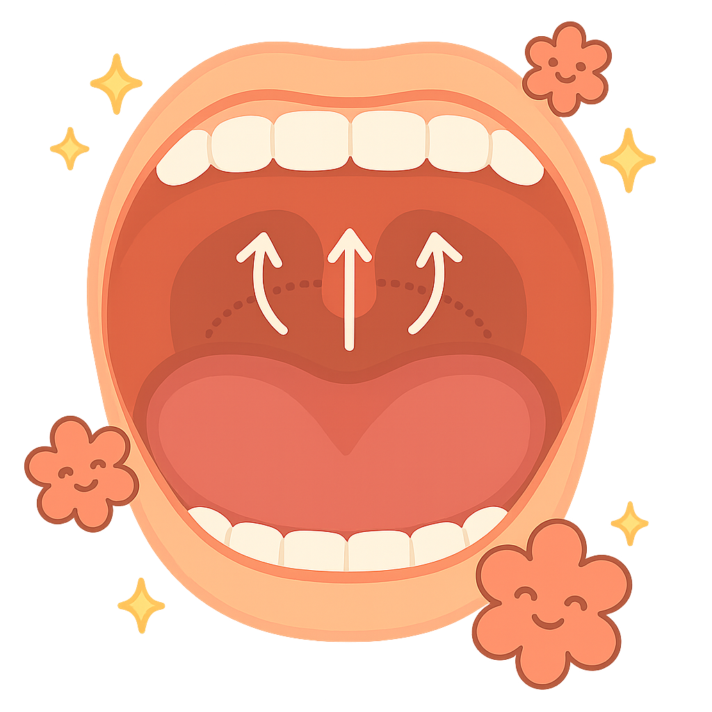 いびきレーザーの作用②