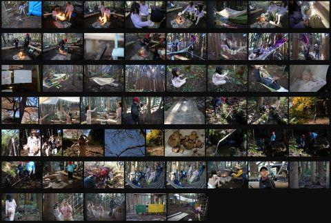 じゆうのもり活動写真 　１１月１６日　自由の森の商品画像