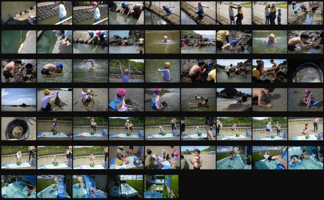 じゆうのもり活動写真 　自然体験海あそび260628の商品画像