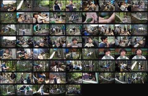 じゆうのもり活動写真 　１０月１３日　自由の森の商品画像