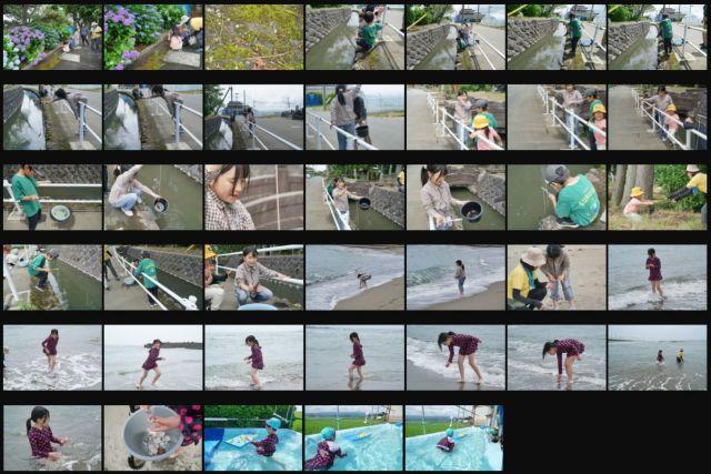 じゆうのもり活動写真 　自然体験海あそび260627の商品画像
