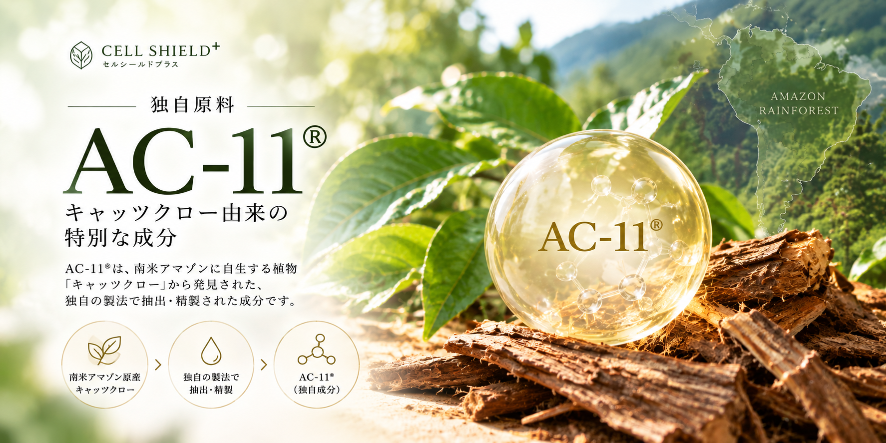 AC-11