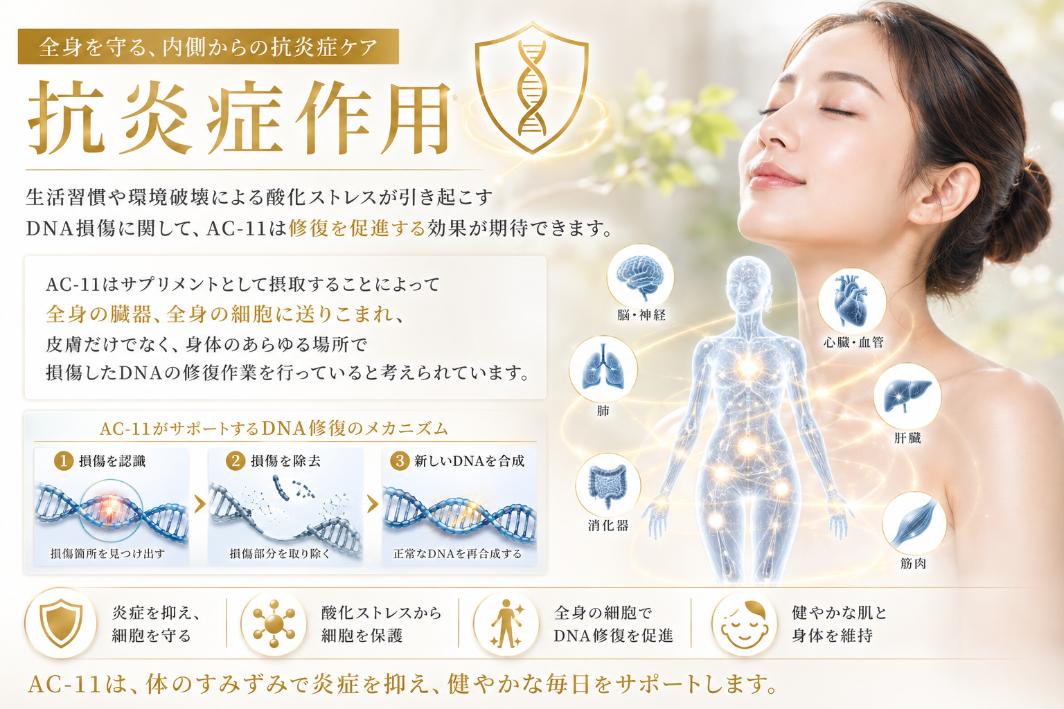 AC11の期待値5