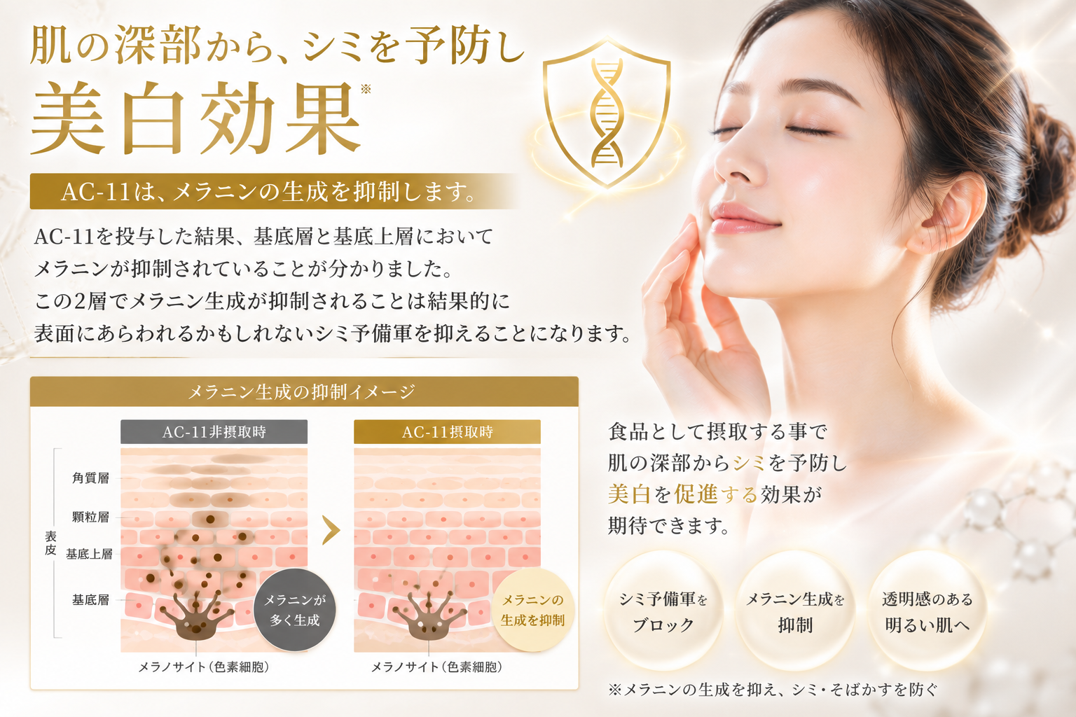 AC11の期待値4