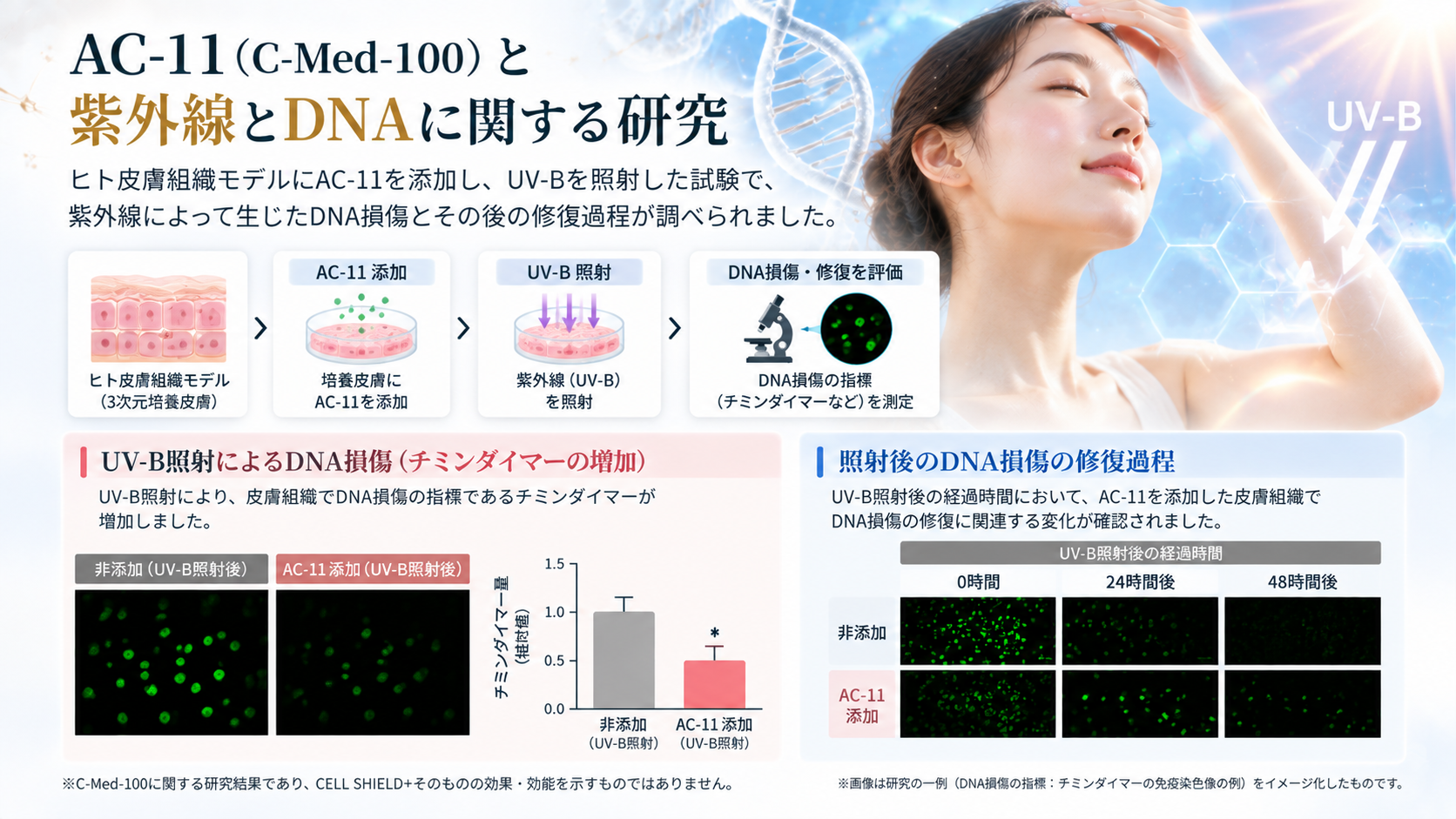 AC11の期待値3