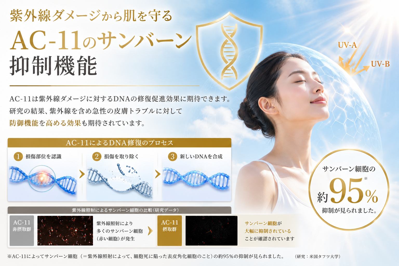 AC11の期待値3