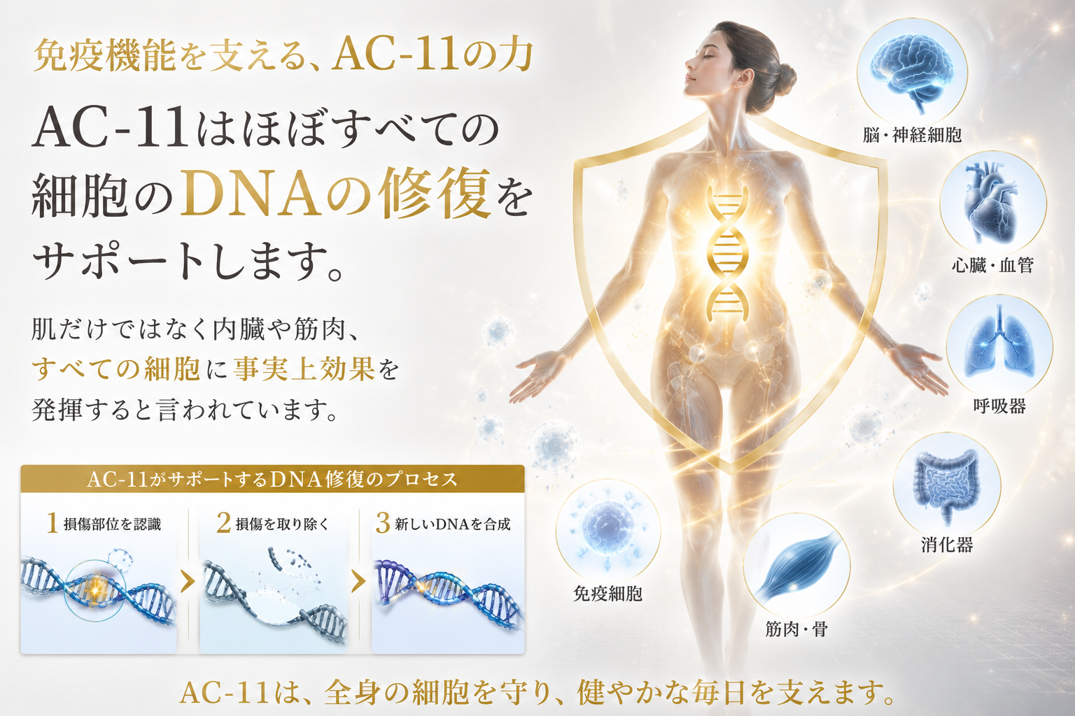 AC11の期待値2