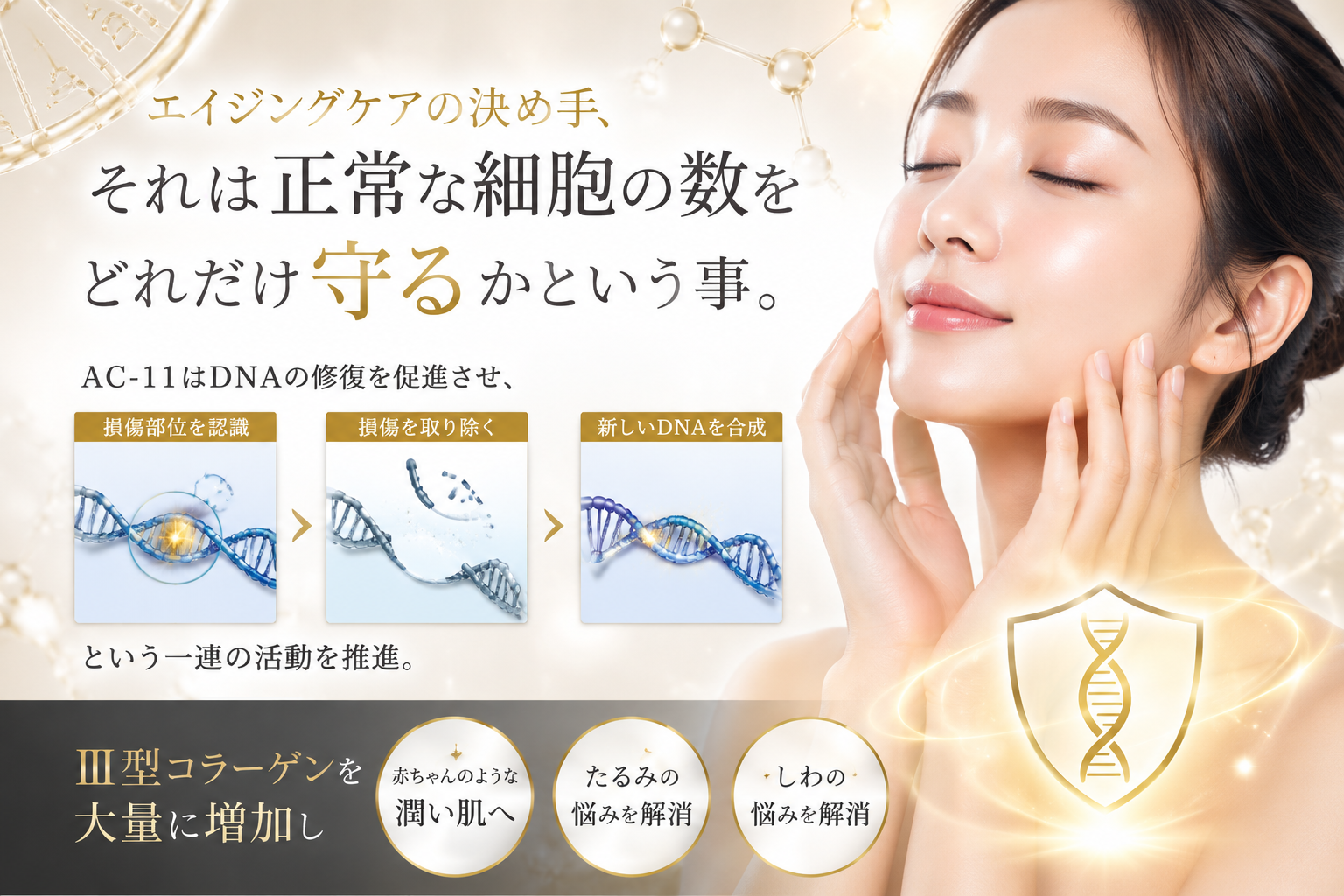 AC11の期待値1
