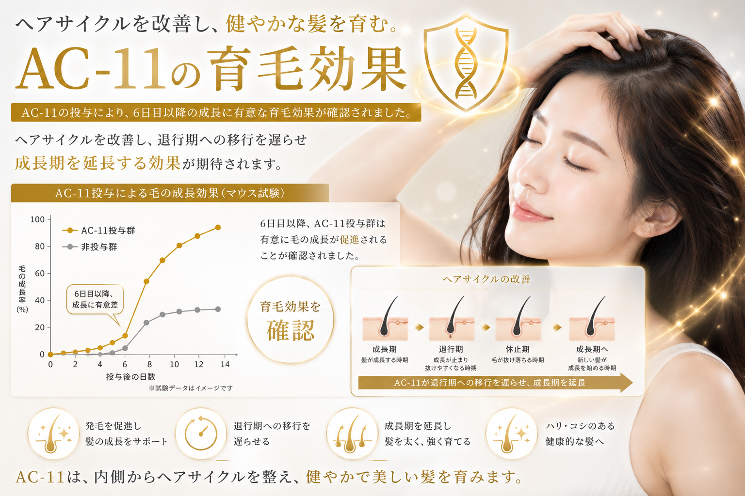 AC11の期待値6