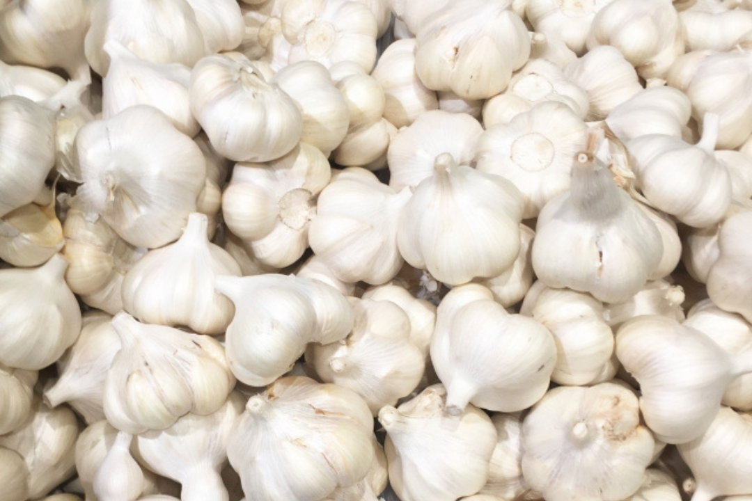 青森県の黒ニンニク 常盤加工販売組合