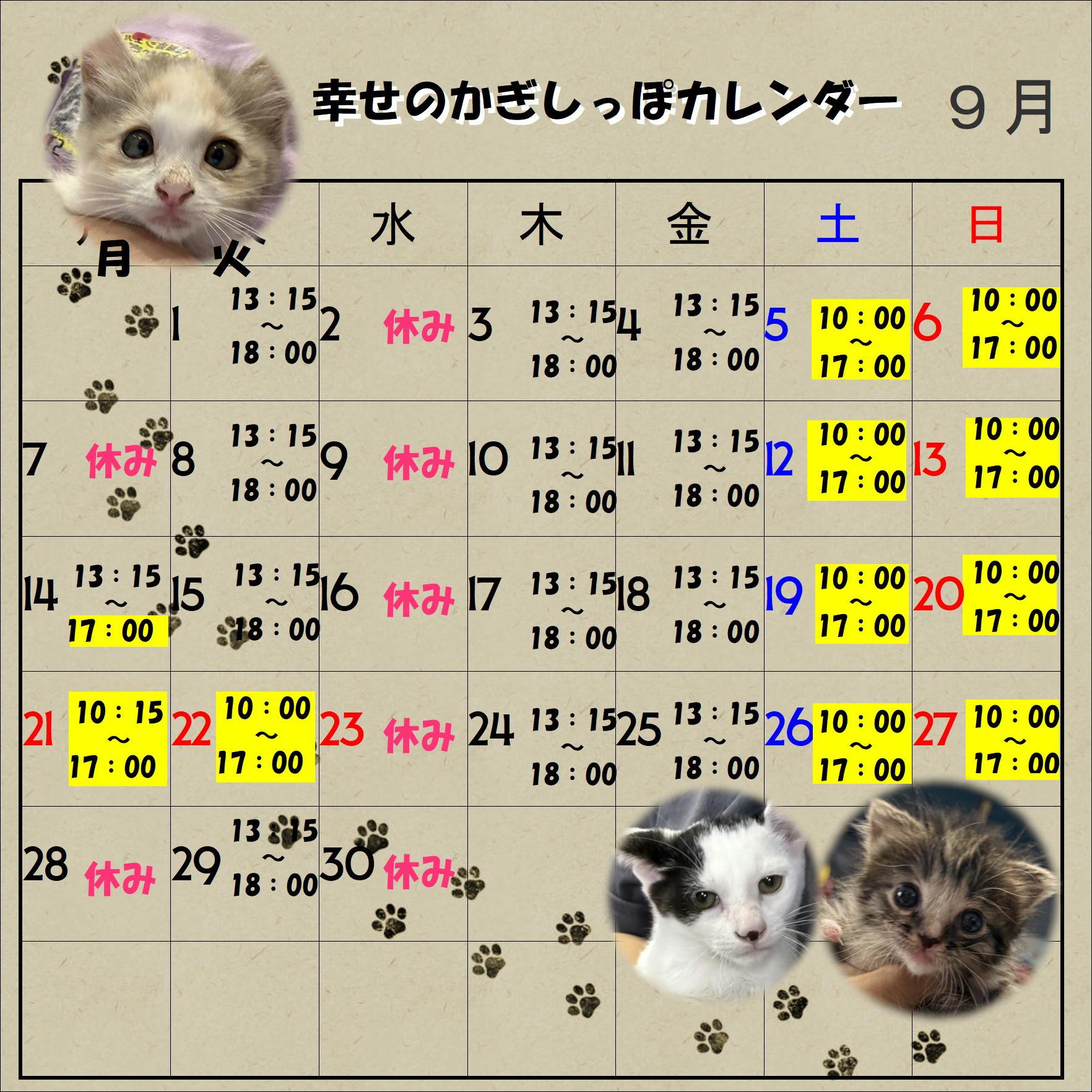 保護猫シェルター幸せのかぎしっぽ