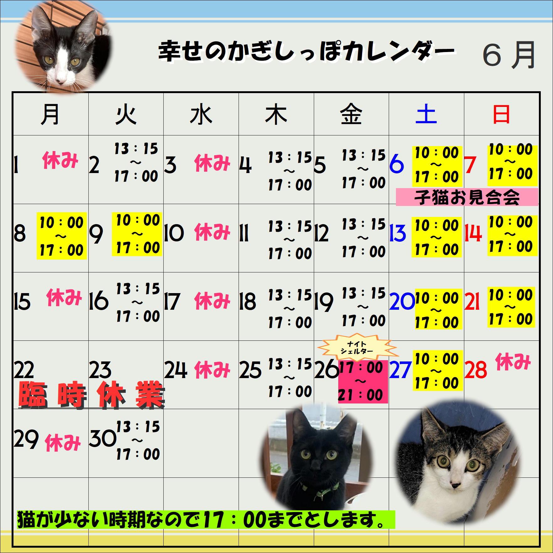 保護猫シェルター幸せのかぎしっぽ