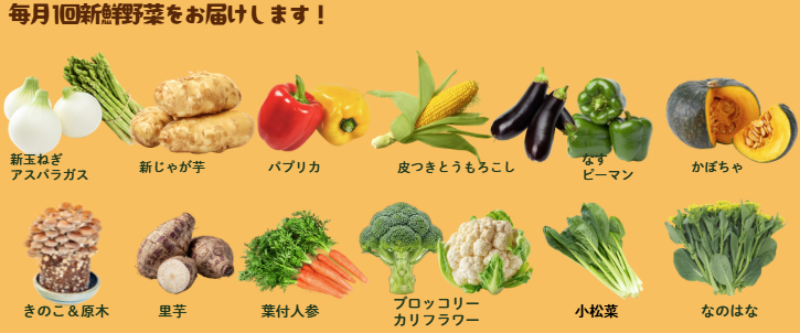 しいたけ菌床キット