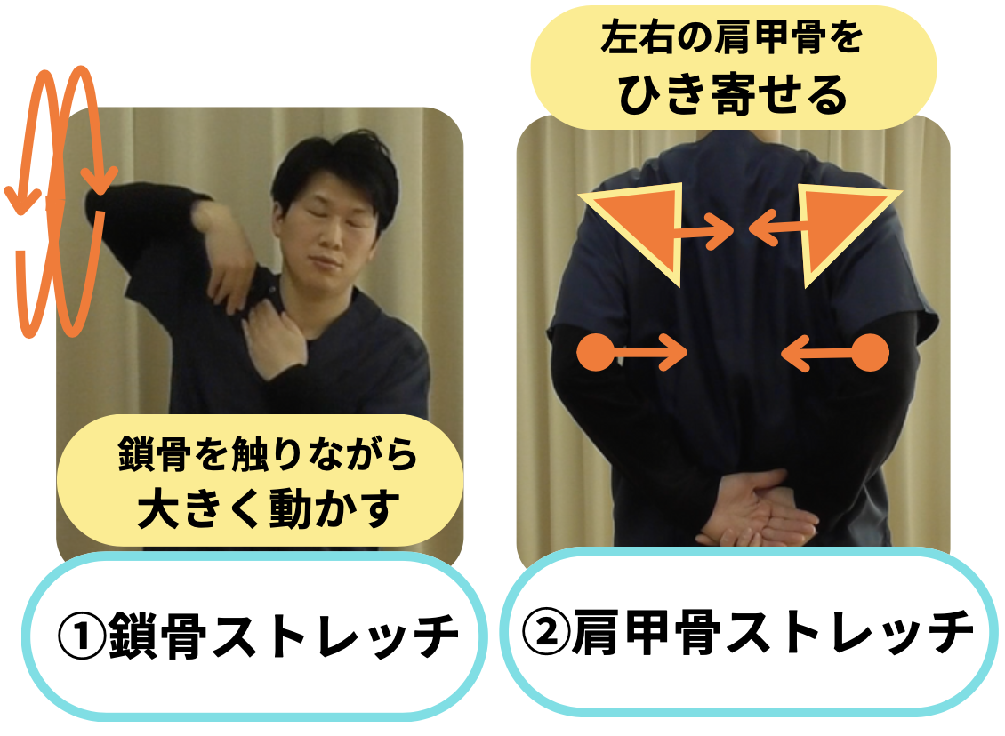 頭痛、肩こりを解消するための、鎖骨と肩甲骨のストレッチ。