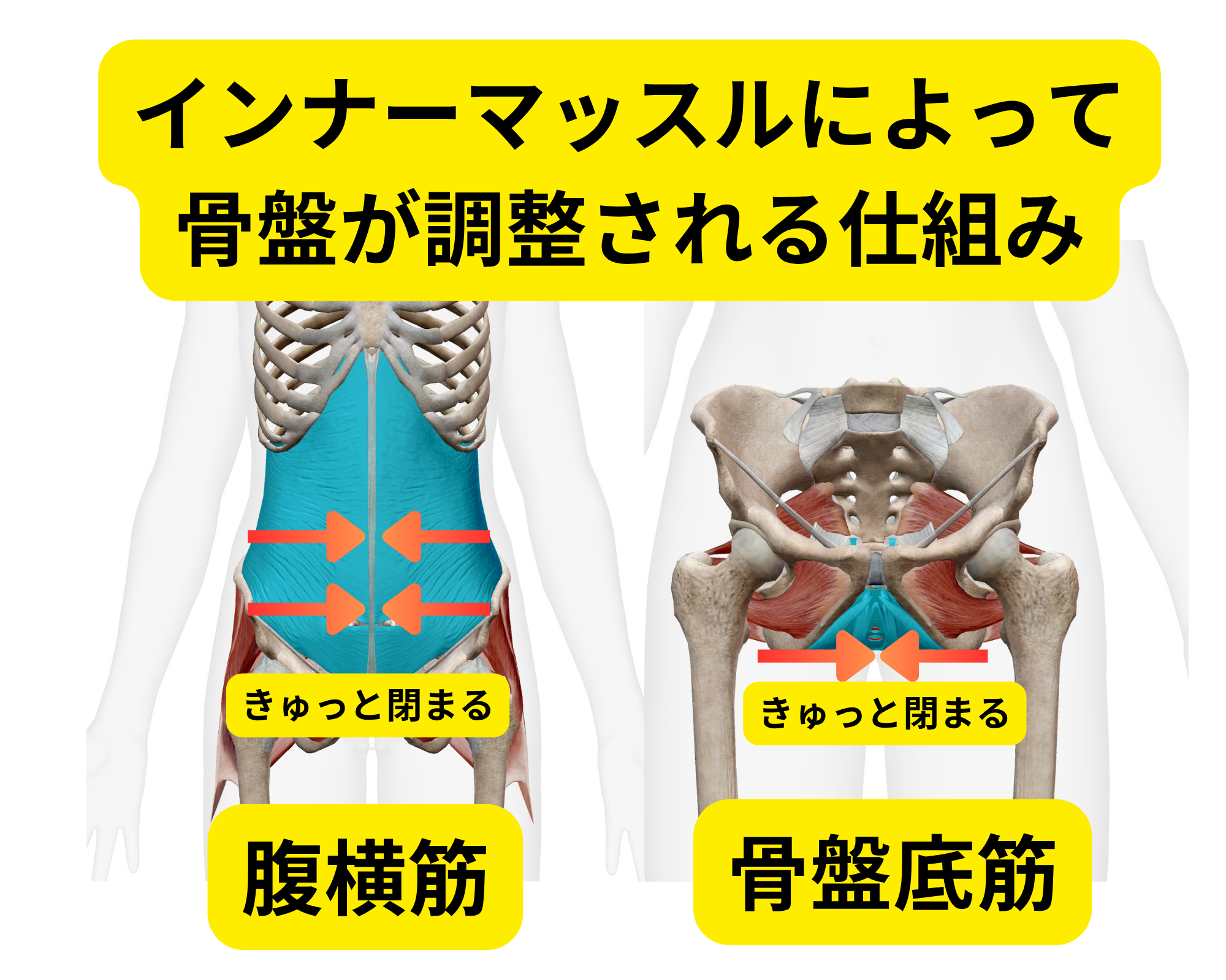 首が下がるほど負担が増える図と、パソコンのモニターと頭の高さを合わせることが重要だという図。