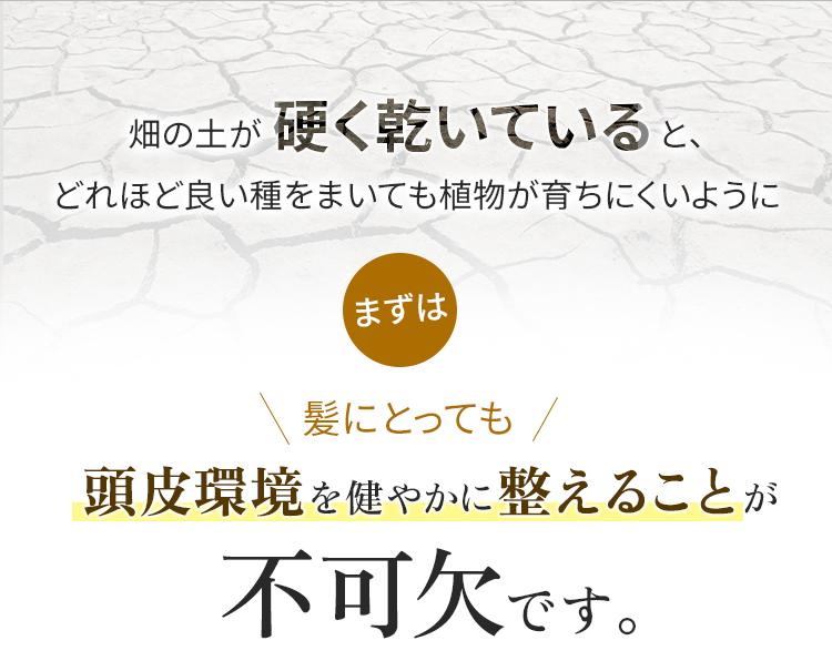 硬く乾いているとどれほど良い種をまいても植物が育ちにくいように　頭皮環境を健やかに