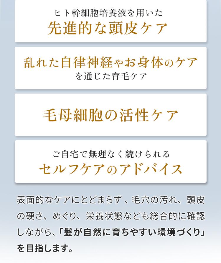 ケア内容　頭皮・自律神経・毛母細胞・セルフケア