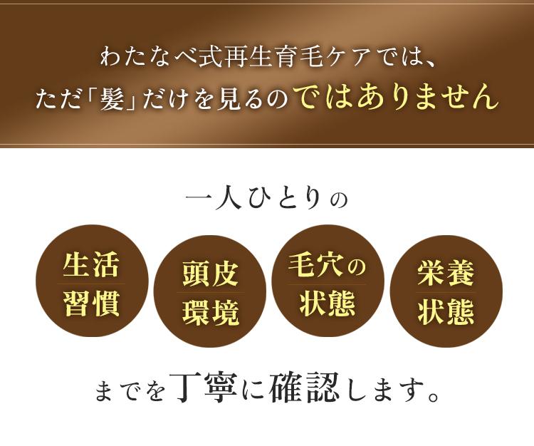 わたなべ式再生育毛ケアでは、ただ「髪」だけを見るのではありません