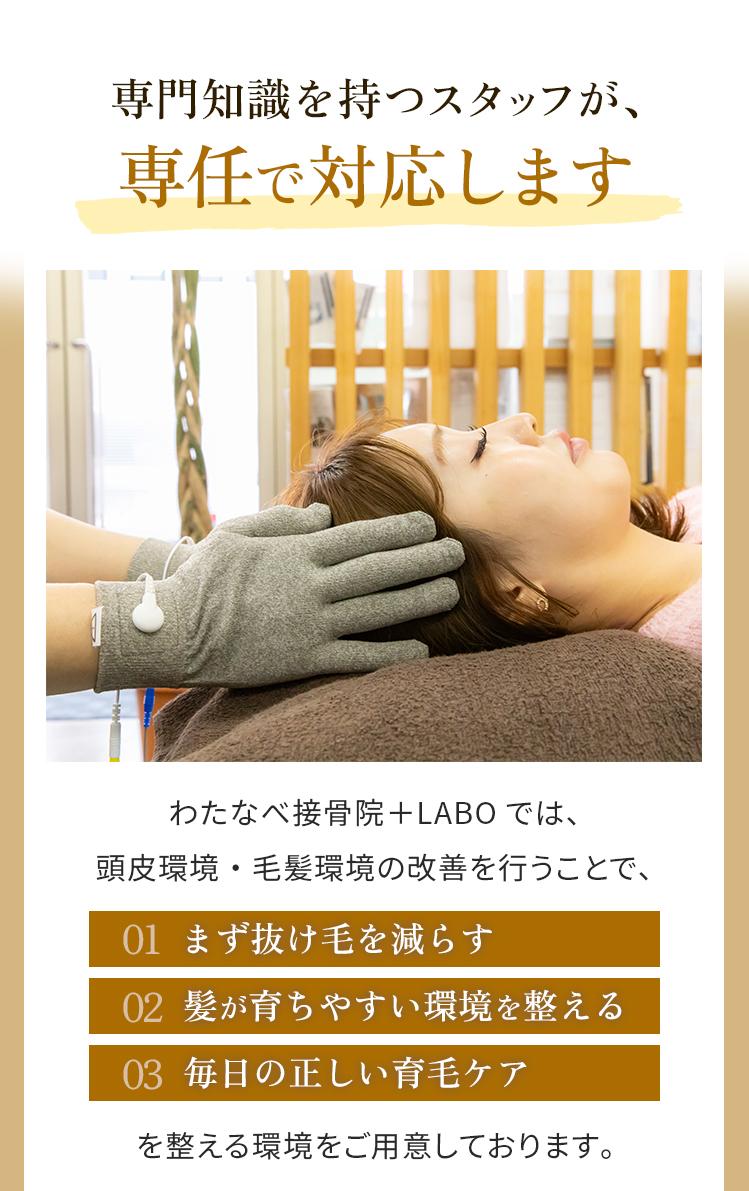 専門知識を持つスタッフが専任で対応します