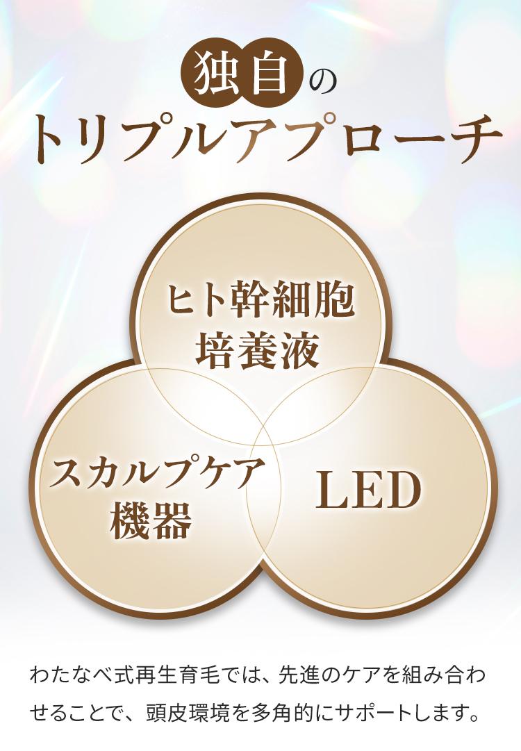 独自のトリプルアプローチ