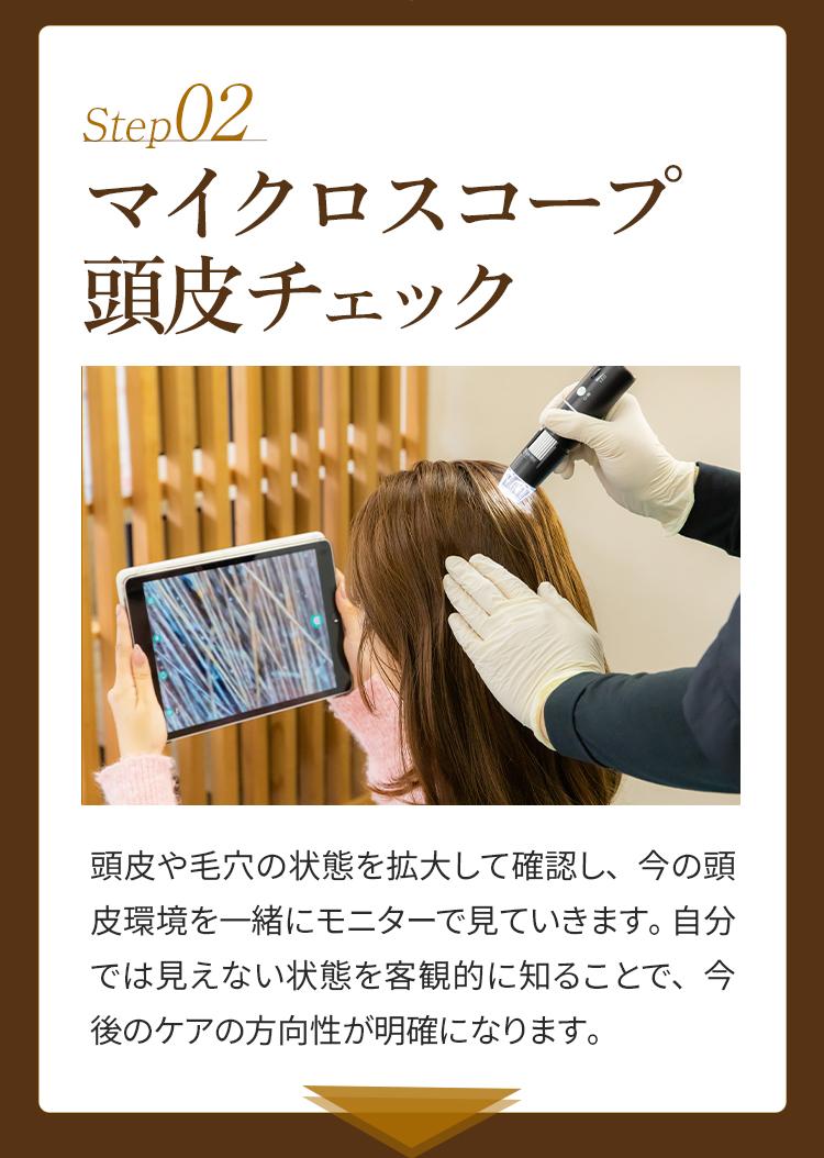 施術の流れ02　頭皮チェック