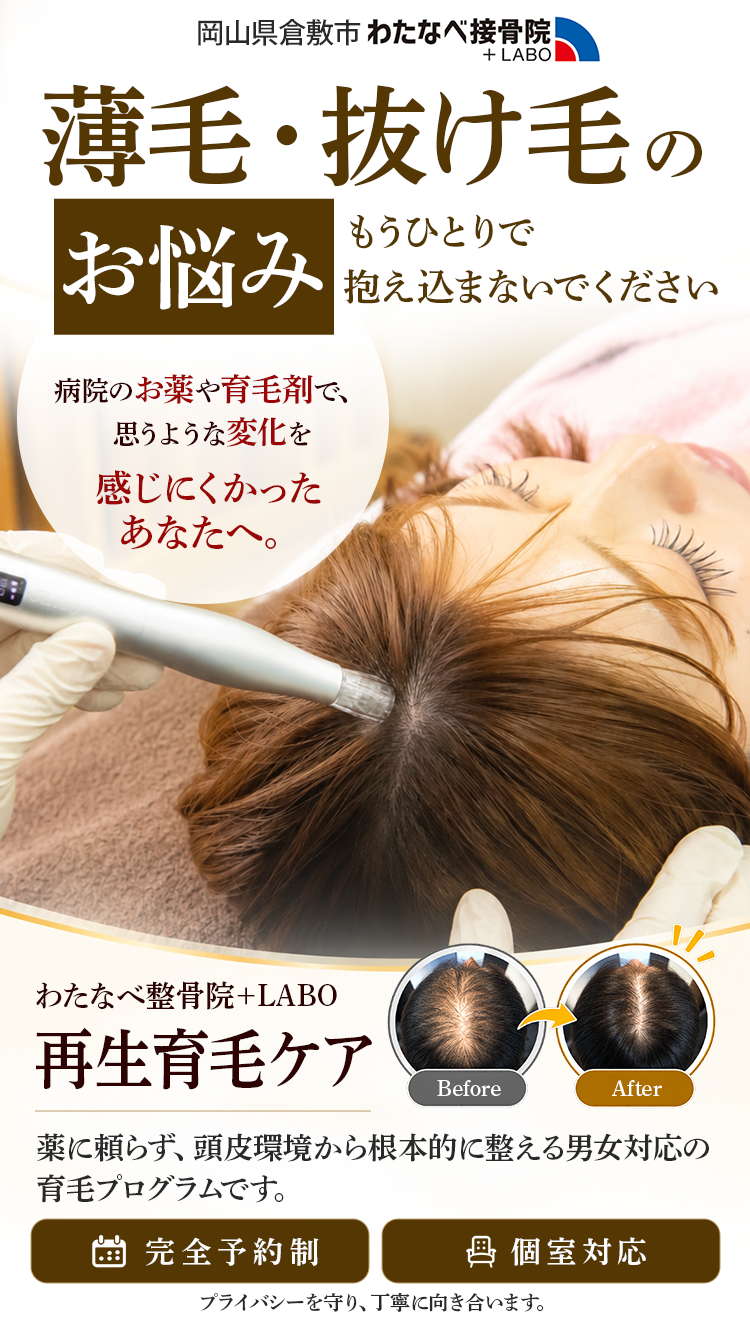 わたなべ整骨院+LABO 薄毛・抜け毛のお悩みの方へ　LP TOP　画像