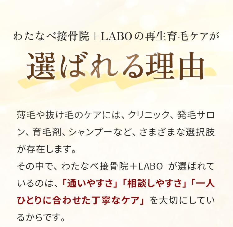 選ばれる理由