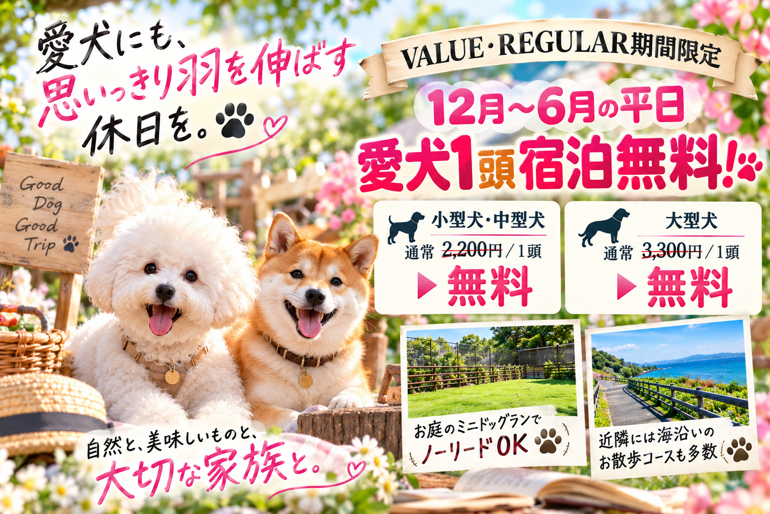 VALUE・REGULAR期間の12月〜6月の平日限定。小型犬・中型犬・大型犬の宿泊料金が1頭無料になる特典のご案内。