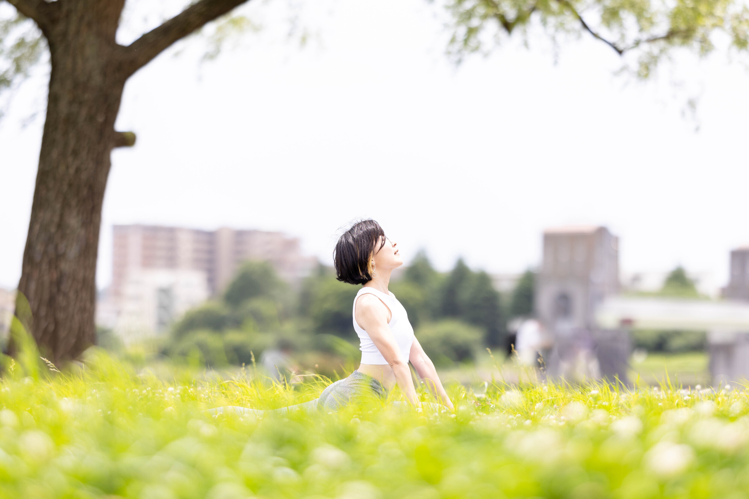 ヨガのポーズの画像