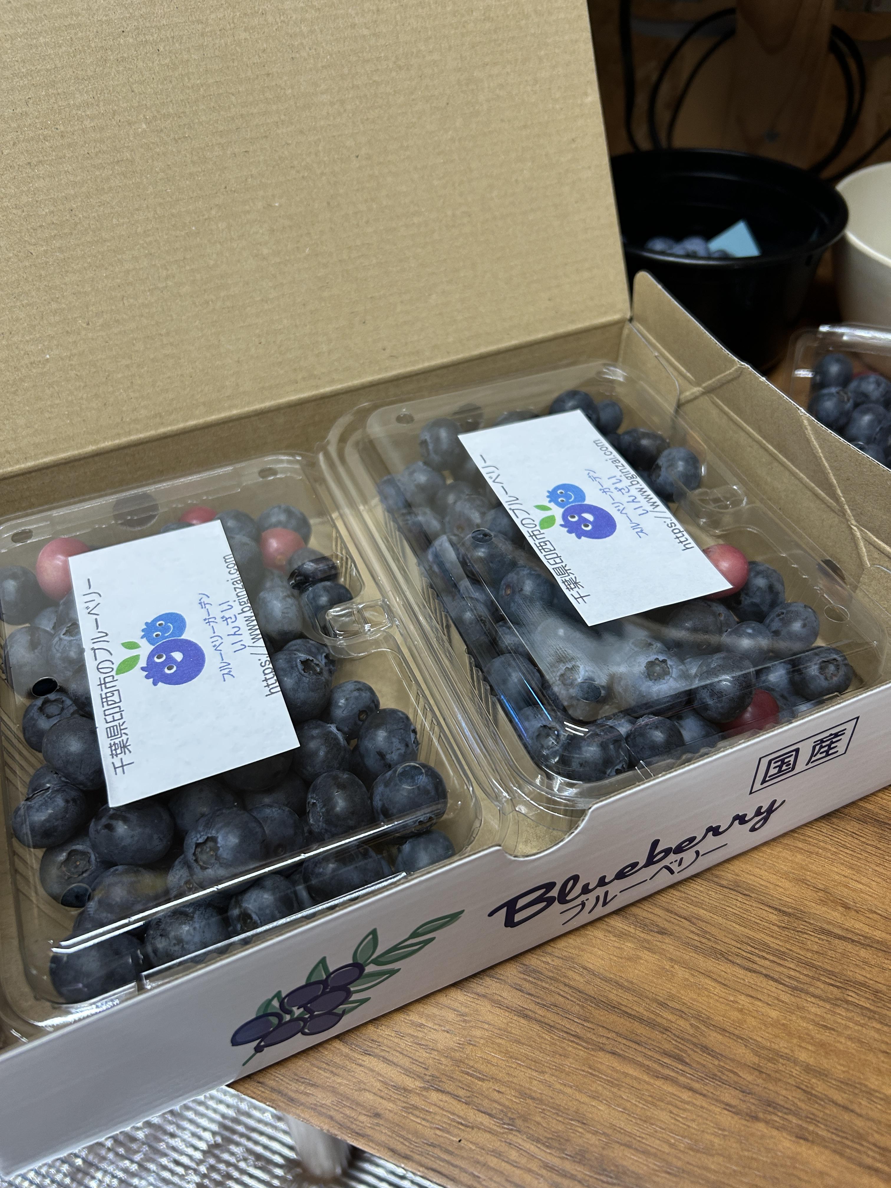 ブルーベリー（生果）500gの商品画像