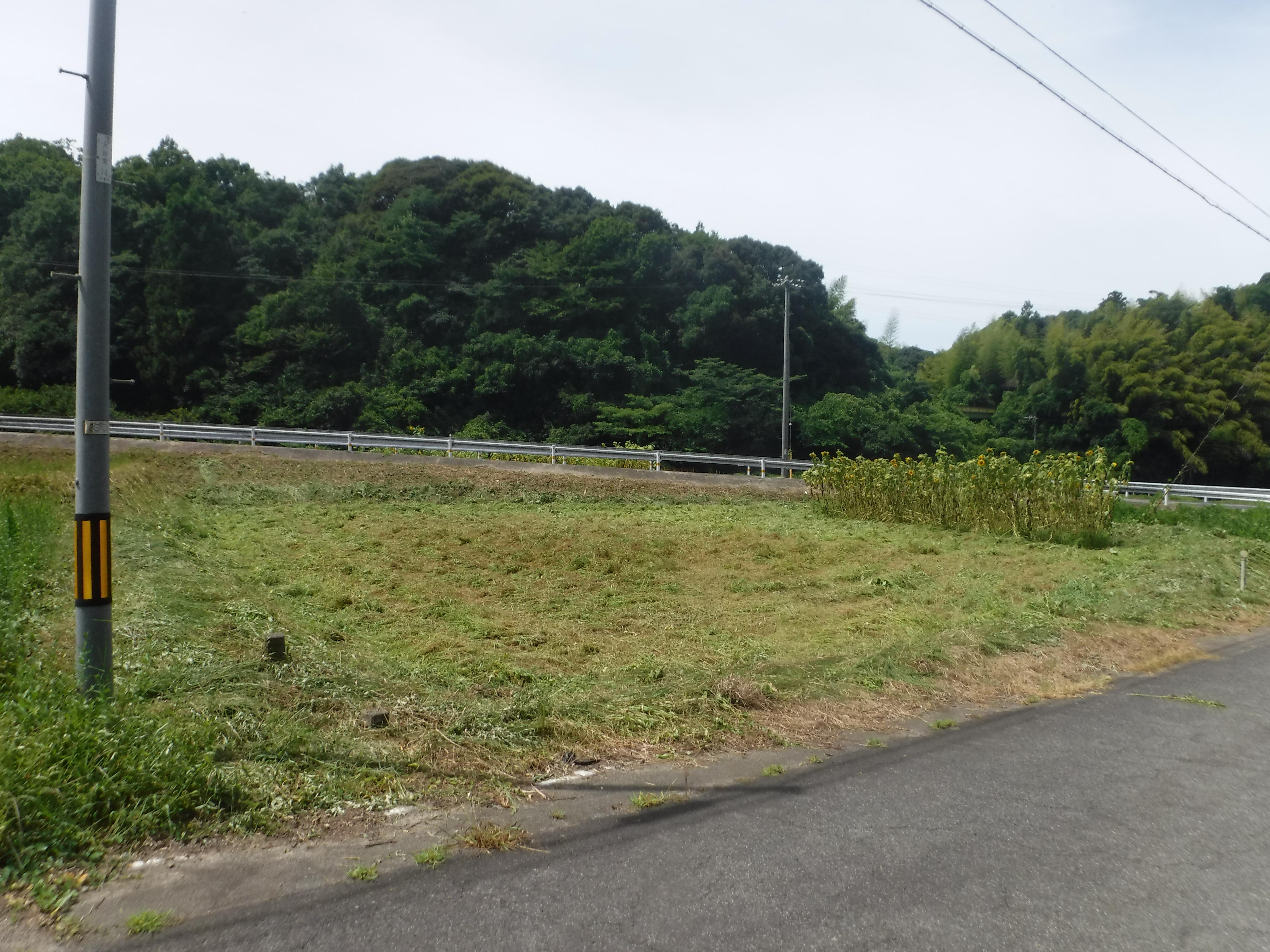 松江市の敷地の草を刈払機で草を刈り取った後の状態