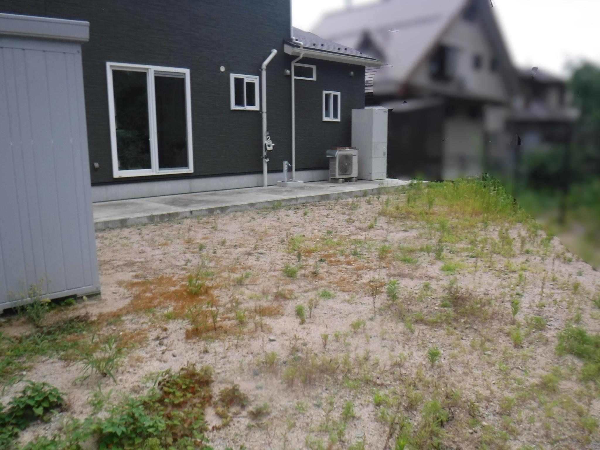 松江市　防草工事の施工前
