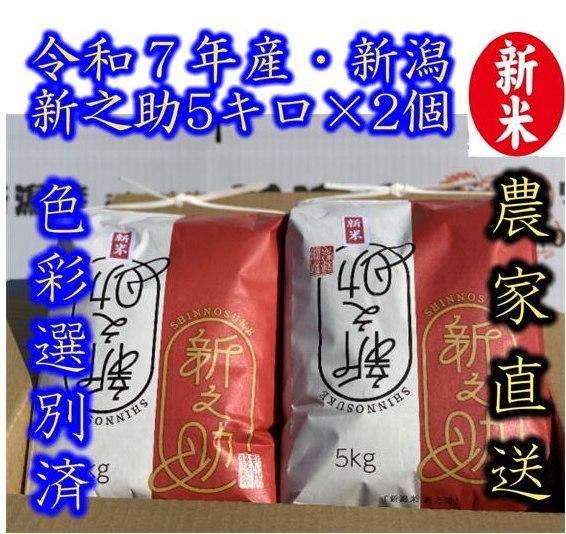 令和７年産　新潟　新之助　白米5kg ×２個★農家直送★色彩選別済　   予約9月25日頃の商品画像