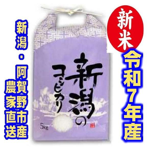 令和７年度産　新潟コシヒカリ　白米5㎏×1個　農家直送　色彩選別済　予約9月10日頃の商品画像