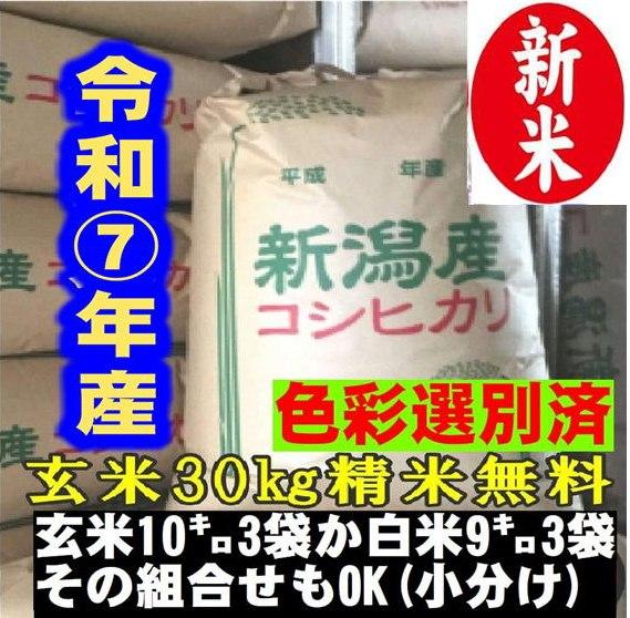 令和7年産新潟コシヒカリ30kg）　白米9kg×3袋か玄米10kg×3袋　   予約9月10日頃の商品画像