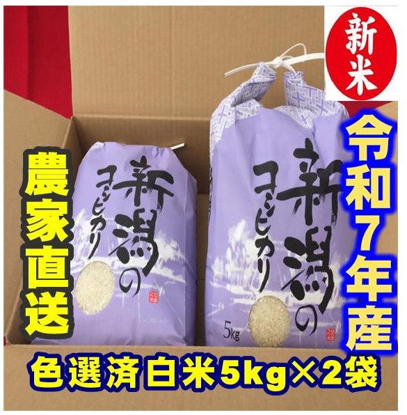 令和７年度産　新潟コシヒカリ　白米5㎏×2個　農家直送　色彩選別済　予約9月10日頃の商品画像