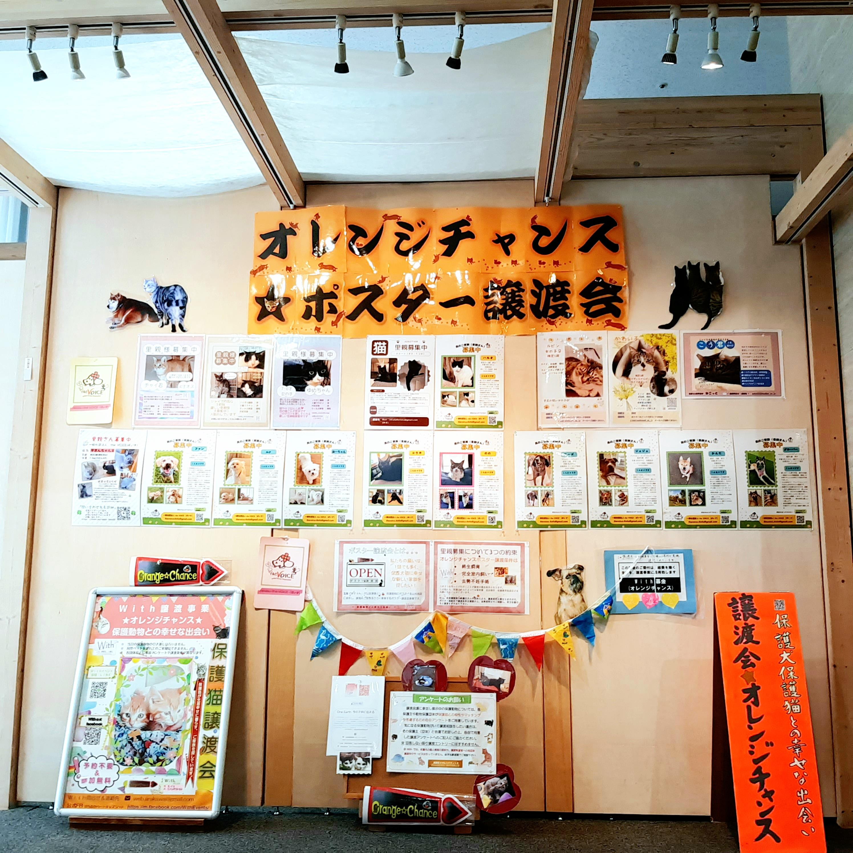 ポスター譲渡会