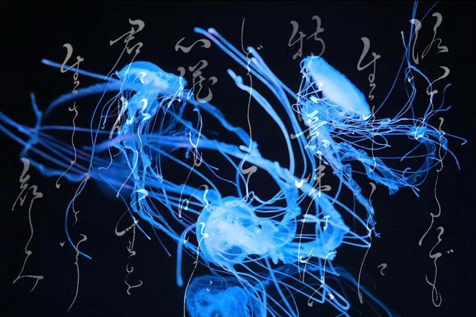 カメラマンとのコラボ作品（写真×書道）