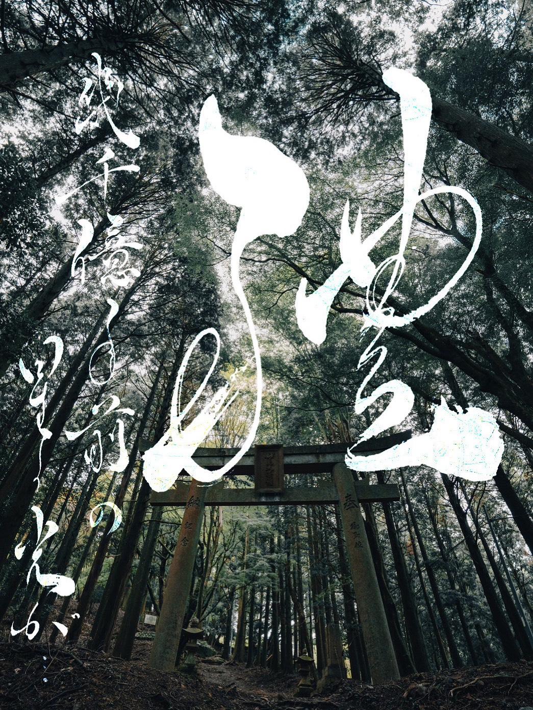 カメラマンとのコラボ作品（写真×書道）