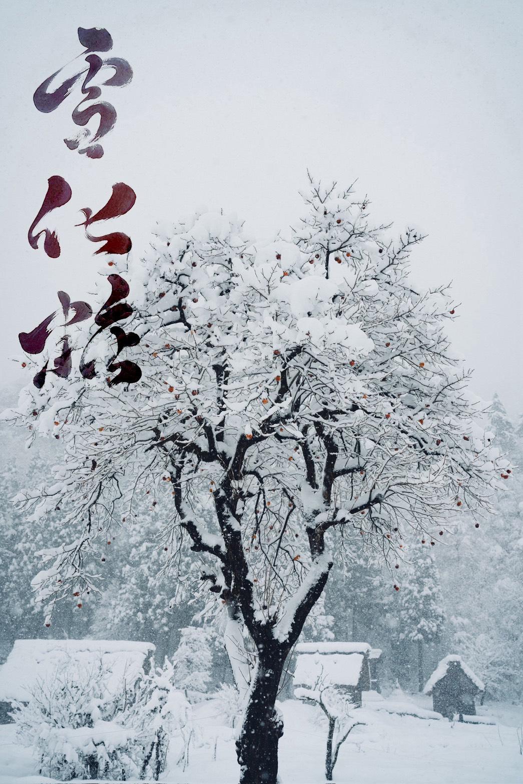 カメラマンとのコラボ作品（写真×書道）