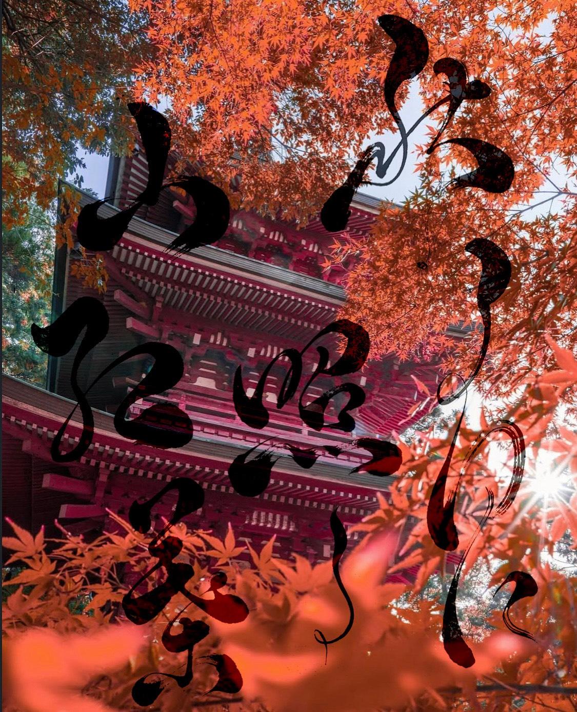 カメラマンとのコラボ作品（写真×書道）