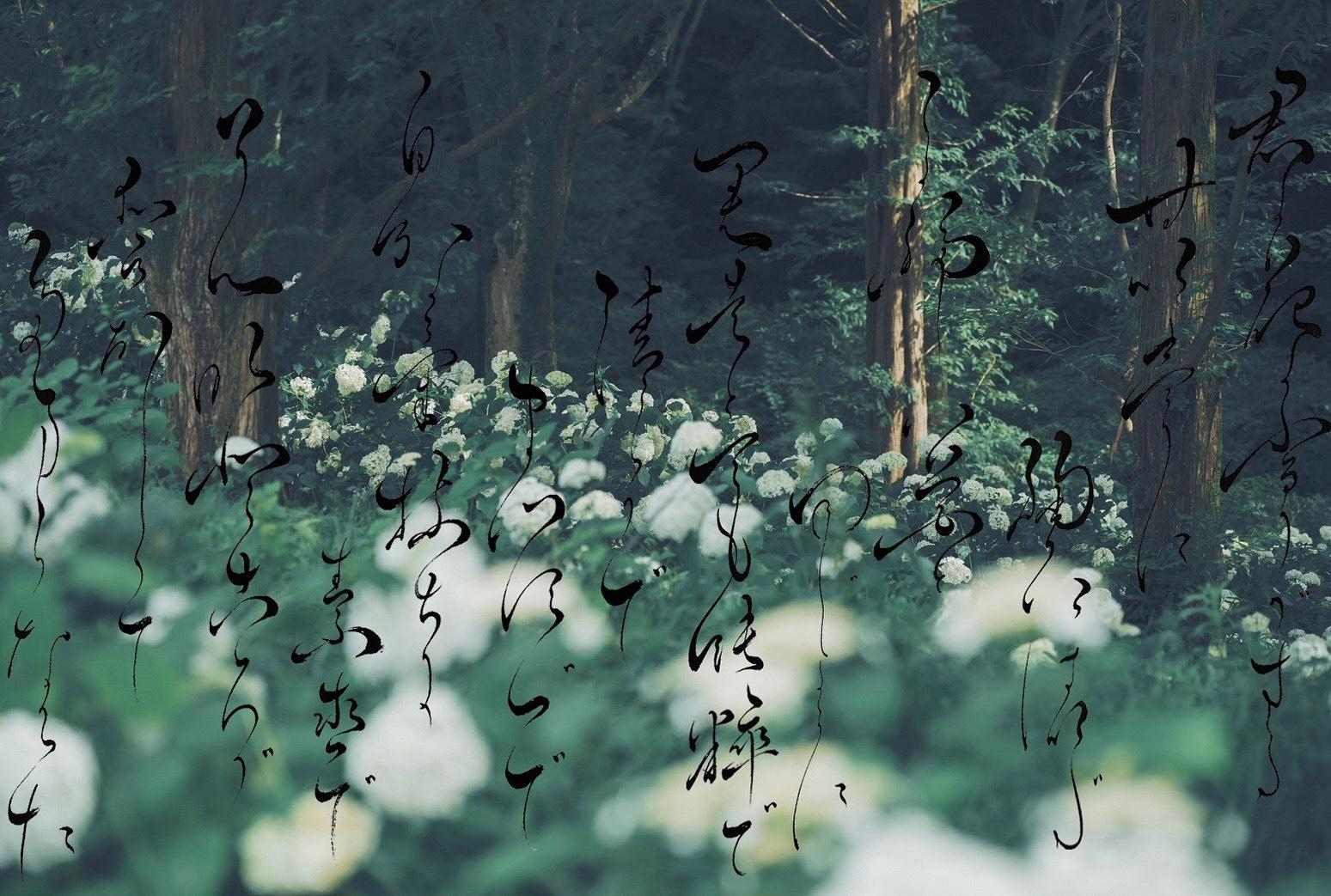 カメラマンとのコラボ作品（写真×書道）