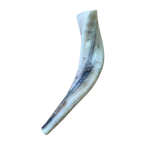 ショファール  ラム  ショートの商品画像